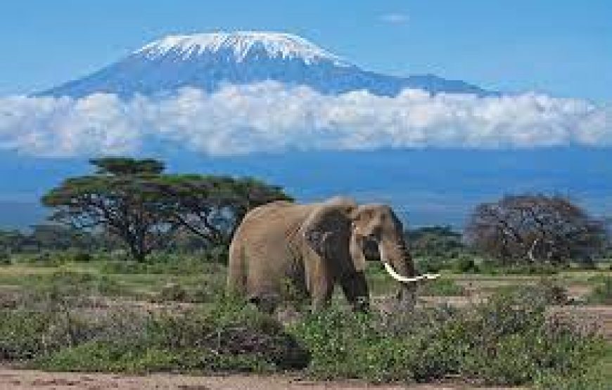 The Shadow of Kilimanjaro – 5 days in Kenya.