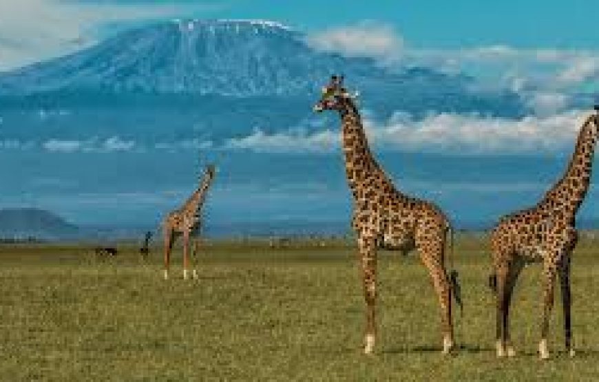 A Day trip to Amboseli National Park